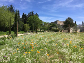 Domaine Les Martins - Gordes